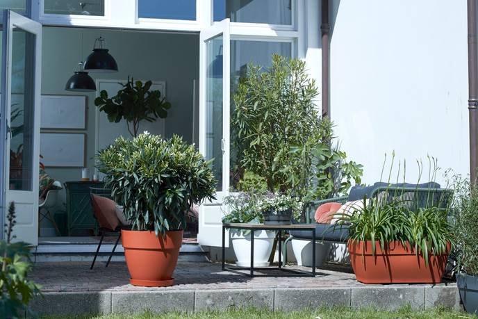 vibia campana coupe 27cm anthracite